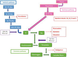 Image result for Anticoagulation