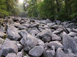 Image result for Field Block