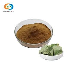 China Free Sample Epimedium Extract Powder Manufacturers Suppliers Factory  - Buy in Bulk - Rebecca