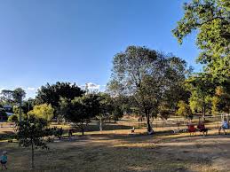 Security Camera Installation Tarragindi