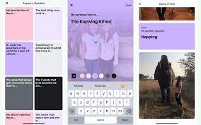Tips you answering the questionnaire. How To Set Up A Facebook Dating Profile