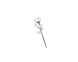Rosa Minimal Art Tattoo Arte Dibujos Draw Drawing Minimalisttattoo Minimalart Tree Rosetattooo Natur Rose Drawing Minimal Drawings Minimalism