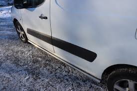 Image result for Brun Guaranja 2011 Citroen