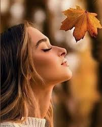 Robin Miller (@sparksofdivinelighthealing) • Instagram photos and videos