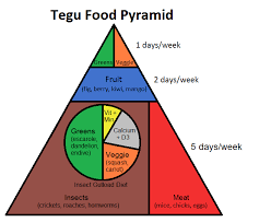 Tegu Food Pyramid Complete Critter
