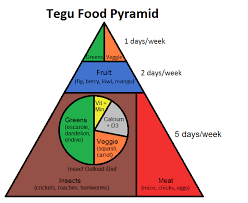 tegu food pyramid complete critter