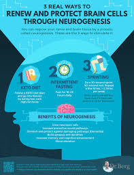 Renew And Protect Your Brain Cells Infographic Brain Exercise Brain Health Cell Rejuvenation