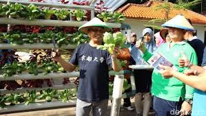 1) dilihat dari letak kampung dura jeti dungun terengganu dekat dg laut , potensi yg dapat memajukan kegiatan ekonomi adalah membuat usaha pengalengan ikan, yg dapat di eksport ke berbagai negri. Membangun Desa Mandiri
