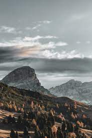 See more ideas about mobile wallpaper, wallpaper, phone wallpaper. Phone Wallpapers Free Hd Download 500 Hq Unsplash