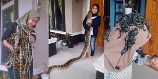 Kosakata keluarga kosakata yang berhubungan dengan keluarga sangat banyak dan cakupannya pun cukup luas. Gadis Berjilbab Main Puluhan Ular Netizen Kaya Angkat Jemuran Saja Dream Co Id