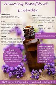 Lavender Essential Oil Lavender Benefits Living Essentials Oils Essential Oils