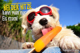 Maybe you would like to learn more about one of these? 73 Hitze Lustig Ideen Hitze Lustig Lustig Lustige Bilder