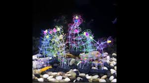 Aquarium mini unik akrilik pvc cupang ikan hiasrp30.000: Import Silicon Coral Dancing Seaweed Hiasan Aquarium Unik Youtube
