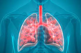 Doctors explain how to tell if you have a head cold or something more serious that requires medical attention, such as the flu, strep throat, meningitis, or. Mucus In Your Chest See 8 Different Causes And How To Remedy It