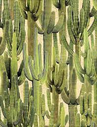 Once the angle is correct, the truck backs up so the saguaro cactus can be moved into position. Timeless Treasures Stoffe Saguaro Cactus Fabric Giljo Stoffe