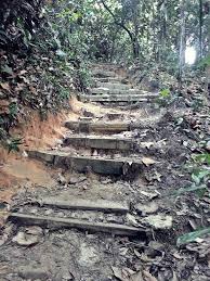 The track is easy to moderate. Hutan Pendidikan Bukit Gasing Mapio Net