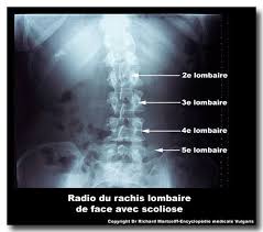 Găsește programul de lucru pentru sc neurobac srl cabinet neurologie dr. Cabinet Mediator Mircea Costas Cabinet Avocat Cabinet D Assistance Et De Formation En Education Pages Directory