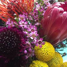 Florists saint petersburg florida, andrews florist st petersburg fl, flower delivery st petersburg florida, flower delivery st petersburg fl, hamilton florist st petersburg fl, local florists st petersburg. Hall S St Petersburg Wholesale Florist Home Facebook