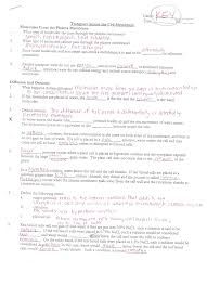 Dna Rna And Protein Synthesis Worksheet Answer Key Worksheet List