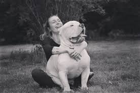 Black American Bully Xl For Sale Thor Chiot Puppy Puppies American Bully Giant Xl Xxl Bully Pitbull A Vendre For Sale France Belgique Kennel E White Pitbull White Pitbull Puppies Bully Pitbull