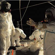 Nano bericht vom dienstag, 26. Tschernobyl Pilz Ernahrt Sich Von Radioaktiver Strahlung Wandelt Sie Um Welt