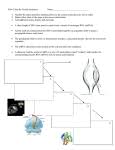 Protein Synthesis Worksheet