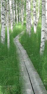 Pin Auf Ambiance Paysage Urbain