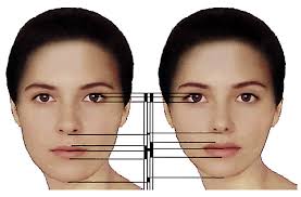 Human Facial Beauty: Current Theories and Methodologies: Archives of Facial  Plastic Surgery: Vol 5, No 5