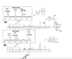 Image result for Jamesbrittenia fodina × huillana