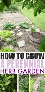 If You Love The Idea Of Herb Garden That You Can Plant Once And Enjoy Over And O Outdoor Herb Garden Herb Garden Design Perennial Herbs