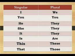 Singular Plural Noun Learn English Grammar With Hindi Youtube