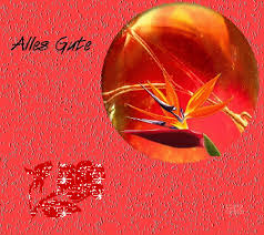 Find funny gifs, cute gifs, reaction gifs and more. Https Encrypted Tbn0 Gstatic Com Images Q Tbn And9gctqcqzeffrnlfh8ilewsphf6eytsipgopvhmg Usqp Cau