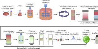 Mar 21, 2021 · for an outline of the librivox audiobook production process, please see the librivox recording process. Scielo Brasil Biopharmaceuticals From Microorganisms From Production To Purification Biopharmaceuticals From Microorganisms From Production To Purification