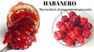 We did not find results for: Marmellata Di Peperoncini Habanero Bomba Piccante Ricette Di Gabri Youtube