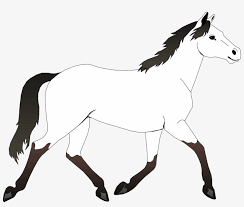 We would like to show you a description here but the site won't allow us. Coloring Book Horse Face Comic Animal Coloring Book Horse Black And White Coloring Page Png Image Transparent Png Free Download On Seekpng