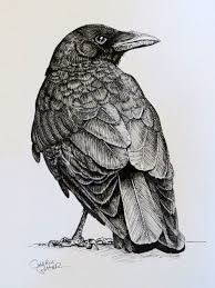 Pin On Pen And Ink Drawings