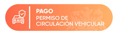 Actividades esenciales establecidas en el artículo 6° del dnu 297 Ilustre Municipalidad De Valdivia Pagos En Linea