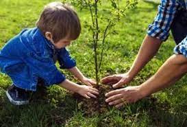 Sap Brandvoice Why Planting Trees Is Never A Bad Idea Trees To Plant Plants Environmental Awareness