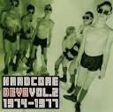 So two things: Is there any background on the Hardcore Devo covers ...