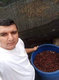 Colombia Gesha Nestor Lasso Huila Whole Bean Coffee Anaerobic — Cognoscenti  Coffee