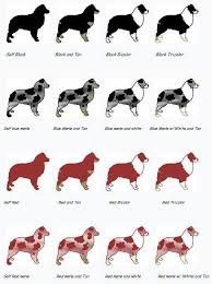 Pin On Gotta Love Them Aussies