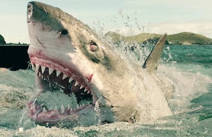The Shallows' Visual Effects Breakdown Highlights Best CGI of the Year -  Bloody Disgusting