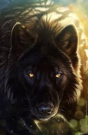 Blackwolf Animals Animal Illustration Wolf Pictures