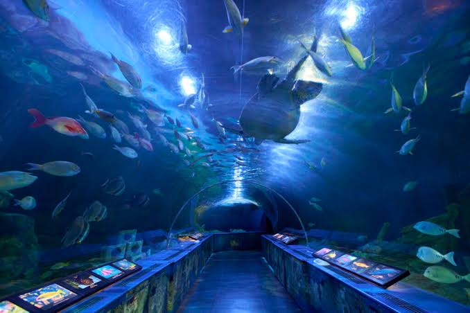 フロアマップ - しながわ水族館