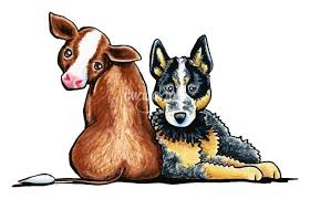 Australian Cattle Dog By Off Leash Art Austrailian Cattle Dog Cattle Dog Cattle Dogs Rule