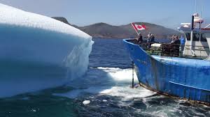 Iceberg s are large chunks of ice that break off from glacier s. Iceberg Harvesting Is A Swashbuckling New Industry In Newfoundland And Labrador Macleans Ca