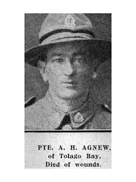 Albert Herbert Agnew