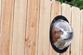 Holzzaun Kleines Fenster Gartenideen Haustiere Hund Garten Bedarf Garten Pflege Gartentypen Gemuse Garten Hof Krautergarten Mini