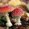 Maybe you would like to learn more about one of these? 3