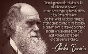 Charles Darwin Quotes